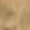 Brown, variant on Women's Wrap Bodycon Classy Party Mini Dresses Long Sleeves Dress Cocktail Dress Office Evening Party Night Club Dresse 2026 S