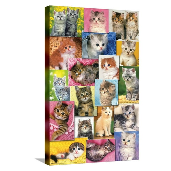 Keith Kimberlin - Kittens Collage Canvas Wall Poster, 14.725" x 22.375"