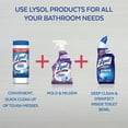 thumbnail image 2 of Lysol Mold & Mildew Remover Spray with Bleach, 32 oz (Pack of 2), 2 of 6