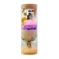 thumbnail image 1 of Decoración de flores eternas, claveles, ramos estrellados, decoración del hogar con luces, regalos navideños, regalos de cumpleaños para familiares y amigos., 1 of 5