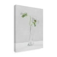 thumbnail image 4 of Canvas Wall Art - Inna Karpova 'Curves' Wall Art for Living Room, Bedroom, or Office Décor by Trademark Fine Art - 18 x 24 Inches, 4 of 4