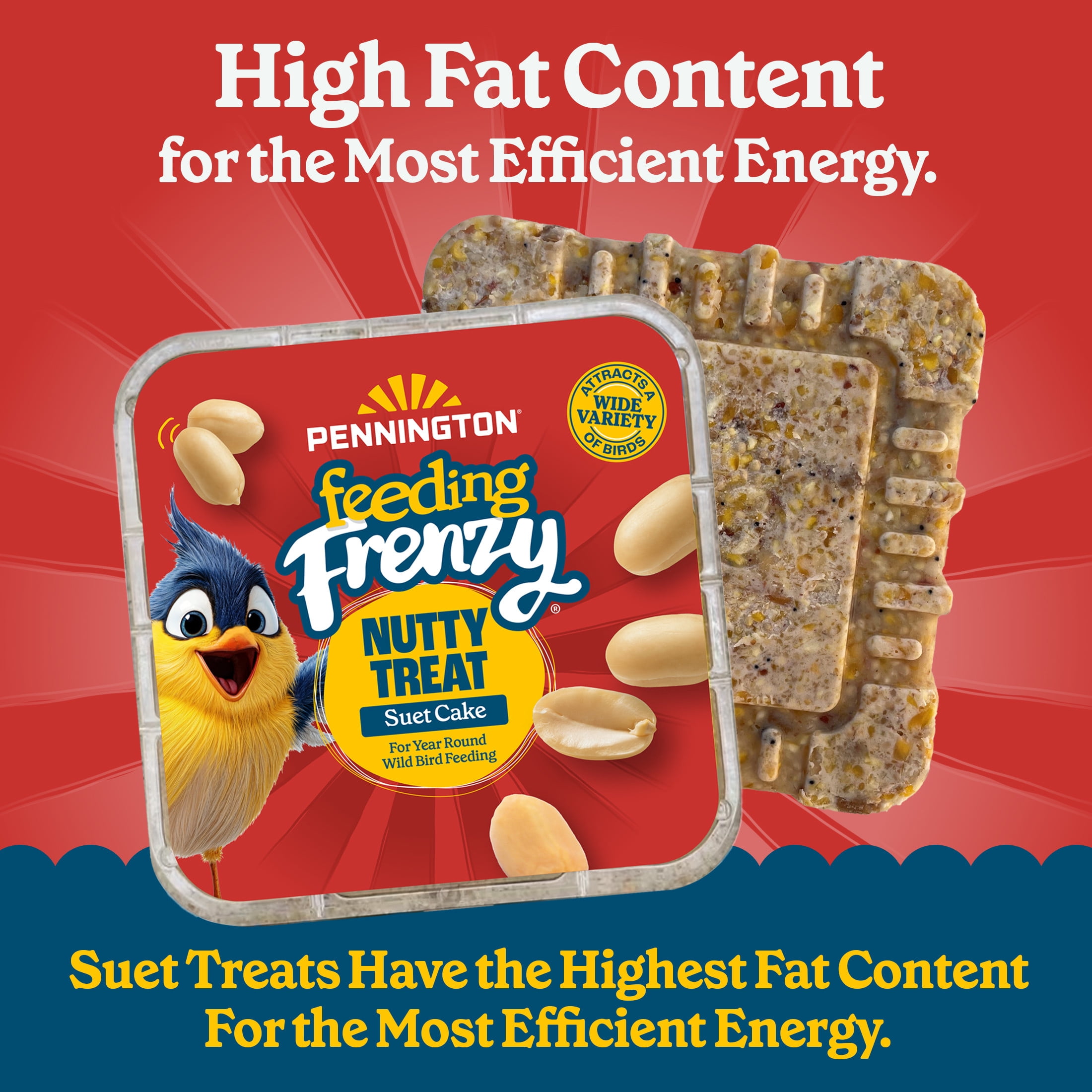 (12 pack) Pennington Feeding Frenzy Nutty Suet Treat, 11.75 oz, Wild Bird Food. 1 Pack, Fresh