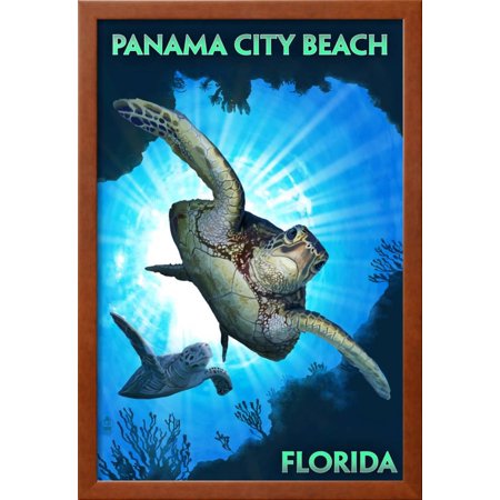 Panama City Beach Florida Sea Turtles Diving Framed Print Wall Panama City Beach Florida Sea Turtles Diving Framed Print Wall Art By Lantern Press