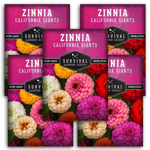 California Giants Zinnia Seeds - 5 pack - Non-GMO Heirloom Full Sun Annual Flower