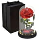 thumbnail image 1 of Rose That Lasts Eternal Forever Preserved Flower In Glass Dome Lamp For Valentine's Mother's Day Gift, 1 of 5