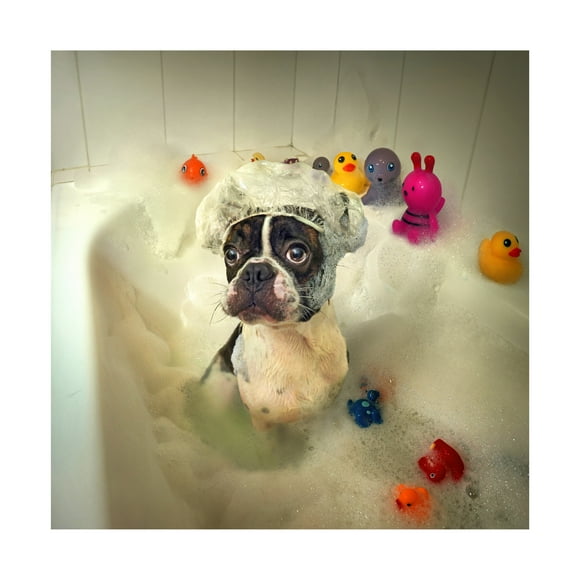 Ddiarte 'The Bath' Canvas Art