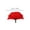 Redx20, variant on WEIWEIGG Carnation Head Flowers with Stem - Red Artificial Flowers Carnation - Silk Carnations Fake Flower for Wedding Bouquet Diy Grad Party Tables Memorial Decor,Red