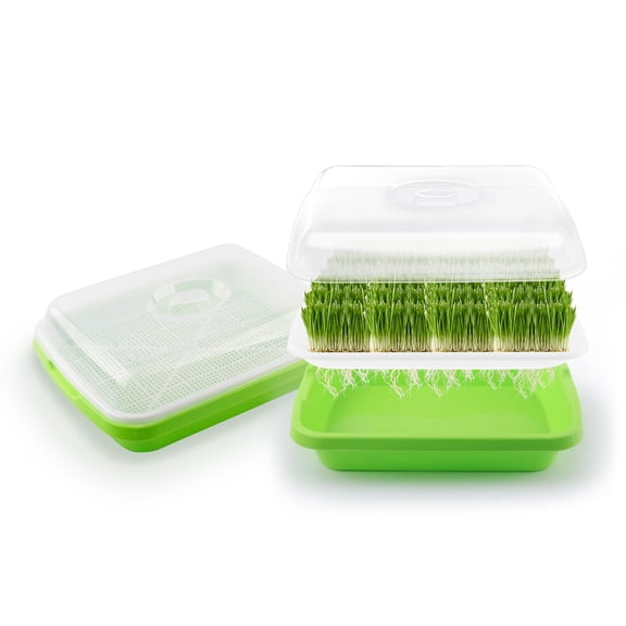 Avalution 2-Pack Green Seed Sprouter Trays, Soil-Free Cultivation Germination Tray for Indoors or Outdoors Sprouting Seeds, Growing Grass, Beans