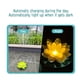 thumbnail image 4 of Luces solares para piscina, paquete de 1 flor flotante Hollandia para piscina, luces solares flotantes para piscina, luz solar LED flotante para estanque. Luz solar., 4 of 8