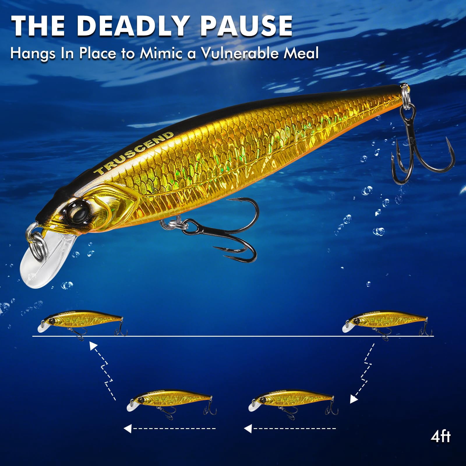 Suspending Jerkbait  Rattle Minnow Lures With Bkk Hooks Freshwater Bass Trout Striper Walleye Pike Fishing Variety Pack For All Water Conditions Premium Gear And Gifts