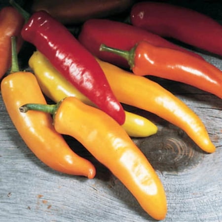 Pepper Seeds - Hungarian Wax Untreated Non-GMO Variety Pepper Seeds - Non-GMO - 50 Seeds
