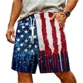 thumbnail image 2 of Men's Swim Trunks Swimming Trunks 250th Anniversary Pattern Beach Shorts with Mesh Lining and Pockets, 2 of 4