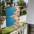 thumbnail image 4 of Zufioo Shells and Starfish Print Double Sided Garden Flag, Outdoor Decorative Flag, Garden Yard Flag, Ideal Home Decoration-28"x40", 4 of 9