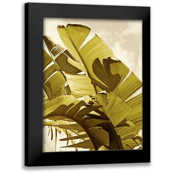 Perry, Rachel 12x14 Black Modern Framed Museum Art Print Titled - Palm Fronds I
