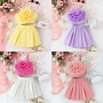 thumbnail image 3 of SUCS Kid Girl Summer Suspender Flower Mesh Top Pleated Sleeveless Shorts Set, 3 of 9