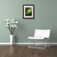 thumbnail image 3 of Trademark Fine Art "Miniature" Canvas Art by Philippe Sainte-Laudy, Wood Frame, 3 of 3