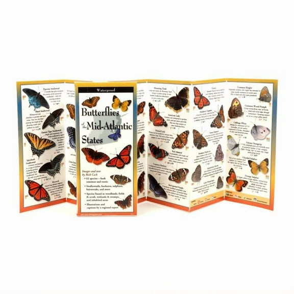 FoldingGuides: Common Butterflies of the Mid-Atlantic (Other)