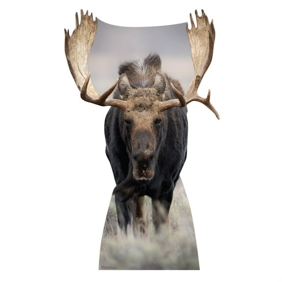 Cardboard People Moose Life Size Cardboard Cutout Standup - Made in USA