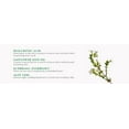 thumbnail image 5 of Mario Badescu Skin Care Hyaluronic Eye Cream - 0.5 oz - Under Eye Brightening, 5 of 7