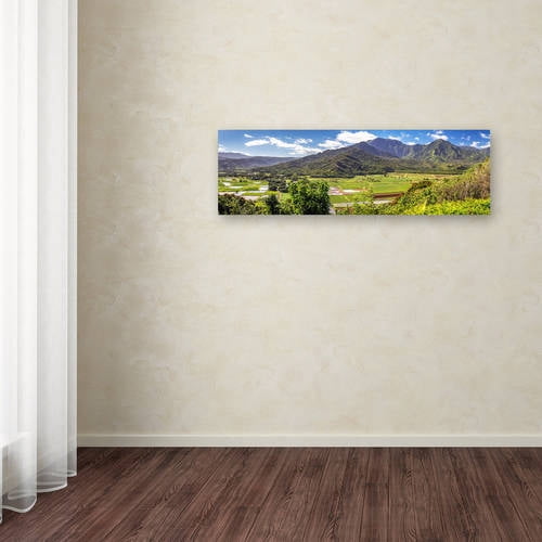hanalei kauai by pierre leclerc, 10x32-inch canvas wall art