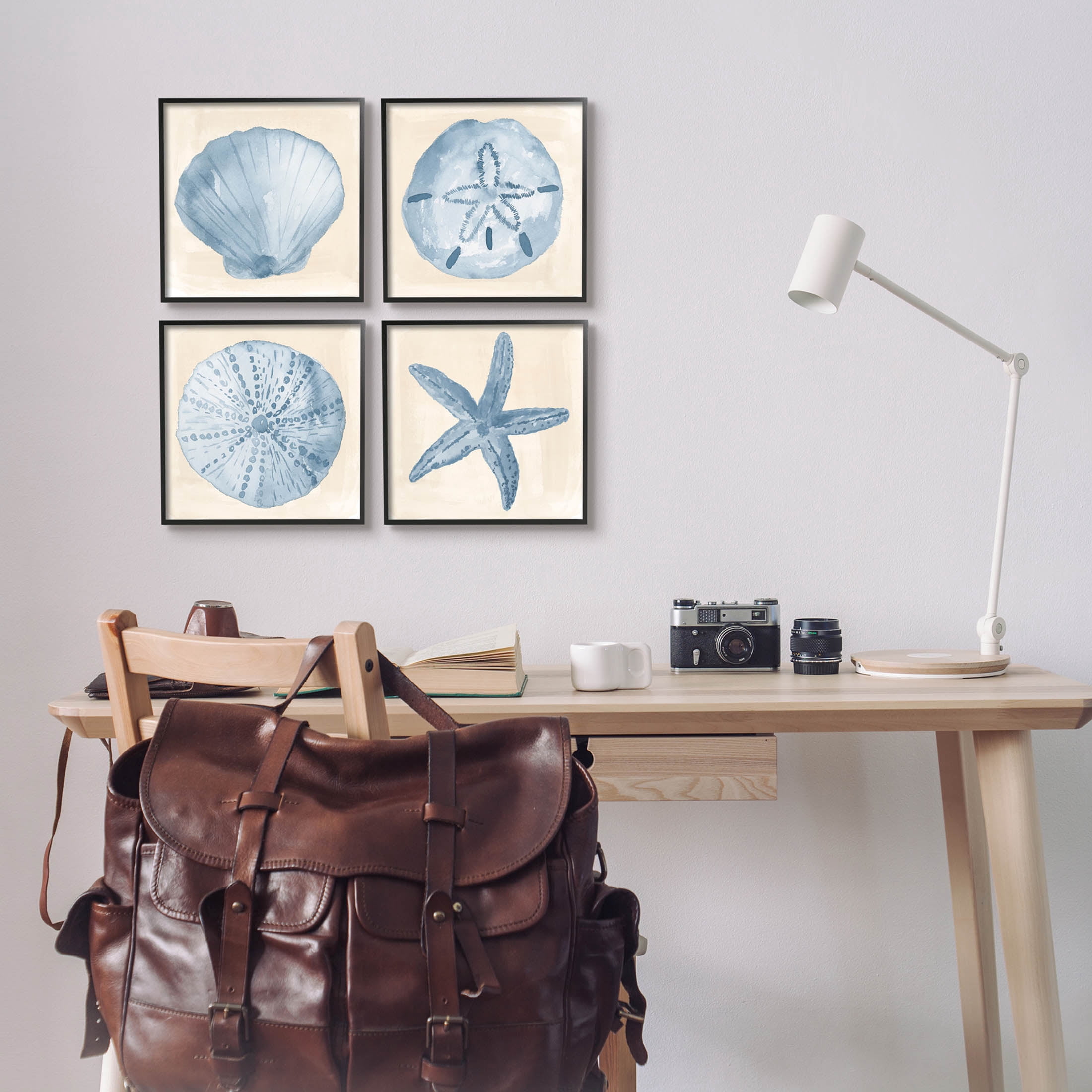 Blue Varied Seashell Marine Life Animals & Insects Graphic Art Black Framed Art Print Wall Art, Set of 4