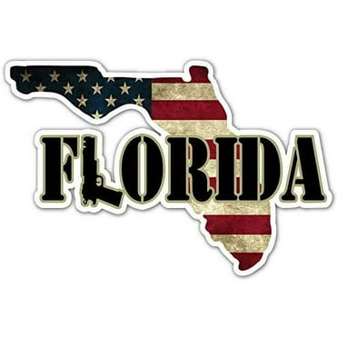 (Pack of 5 Stickers) Florida US Pro Gun American Vintage Flag Vinyl Decal Bumper Sticker 4” X 6”