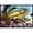 Black, variant on Carolines Treasures PTW2038MAT Brook Trout Door Mat Indoor Rug or Outdoor Welcome Mat 18x27 Doormat 18H X 27W