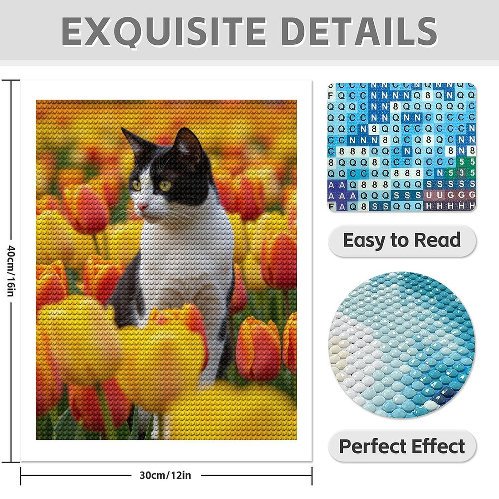 Diamond Art Kits for Adults - 5d Cat Among Vibrant Tulips Diamond Painting for Adults, Diamond Art for Adults Beginners, Diamond Painting Kits for Adults for Home Wall Decor