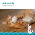 thumbnail image 4 of Catstages Catnip Chew Mice 2 Pack– Interactive Dental Cat Chew Toy that Helps Clean Teeth, Mouse, Multicolored, 4 of 7