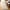 Ivory/Grey, variant on Safavieh Tulum Rusty Moroccan Boho Rug Aqua/Ivory 4' x 6' Latex Free 8' Square, 4' x 6' Indoor Living Room, Bedroom, Dining Room Rectangle