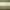Light Gold, variant on Mariana Curtain Tie Back (pair) Finial 101 in Bronze