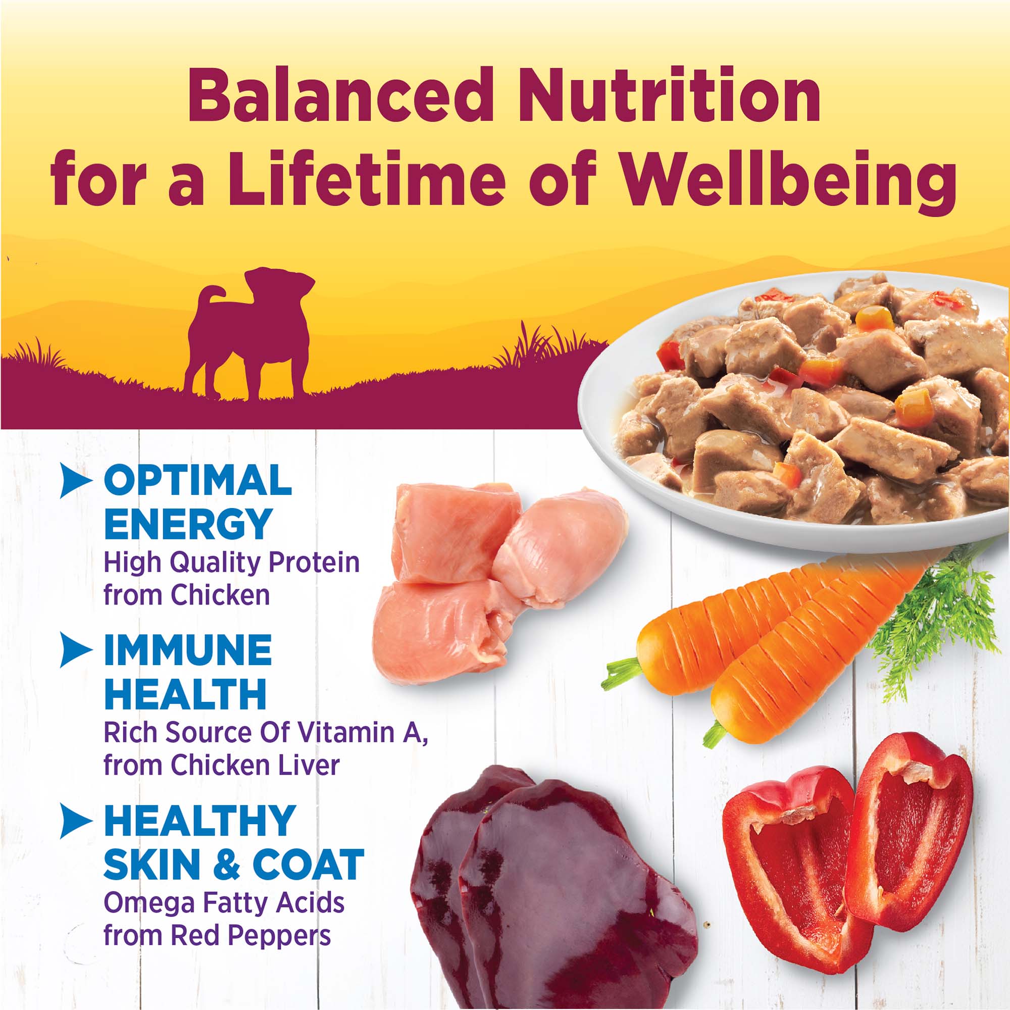 Wellness Petite Entrées Mini Fillets Grain Free Natural Wet Small Breed Dog Food, Roasted Chicken, Carrots & Red Peppers, 3-Ounce Cup (Pack of 24)