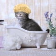 thumbnail image 1 of SOPOTUTU Sombrero Impermeable Para De Mascotas Con Protección Para Orejas Color Dorado, 1 of 6