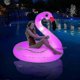 thumbnail image 1 of Inflatable Flamingo Pool Floats With Lights, Solar Powered Flamingo Swim Tube Rings, 1 of 5
