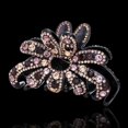 thumbnail image 1 of Suoirblss - Pinza para el pelo con cristales brillantes para mujer, diseño de garra, con diamantes de imitación grandes, accesorios para el pelo (champán morado), 1 of 2