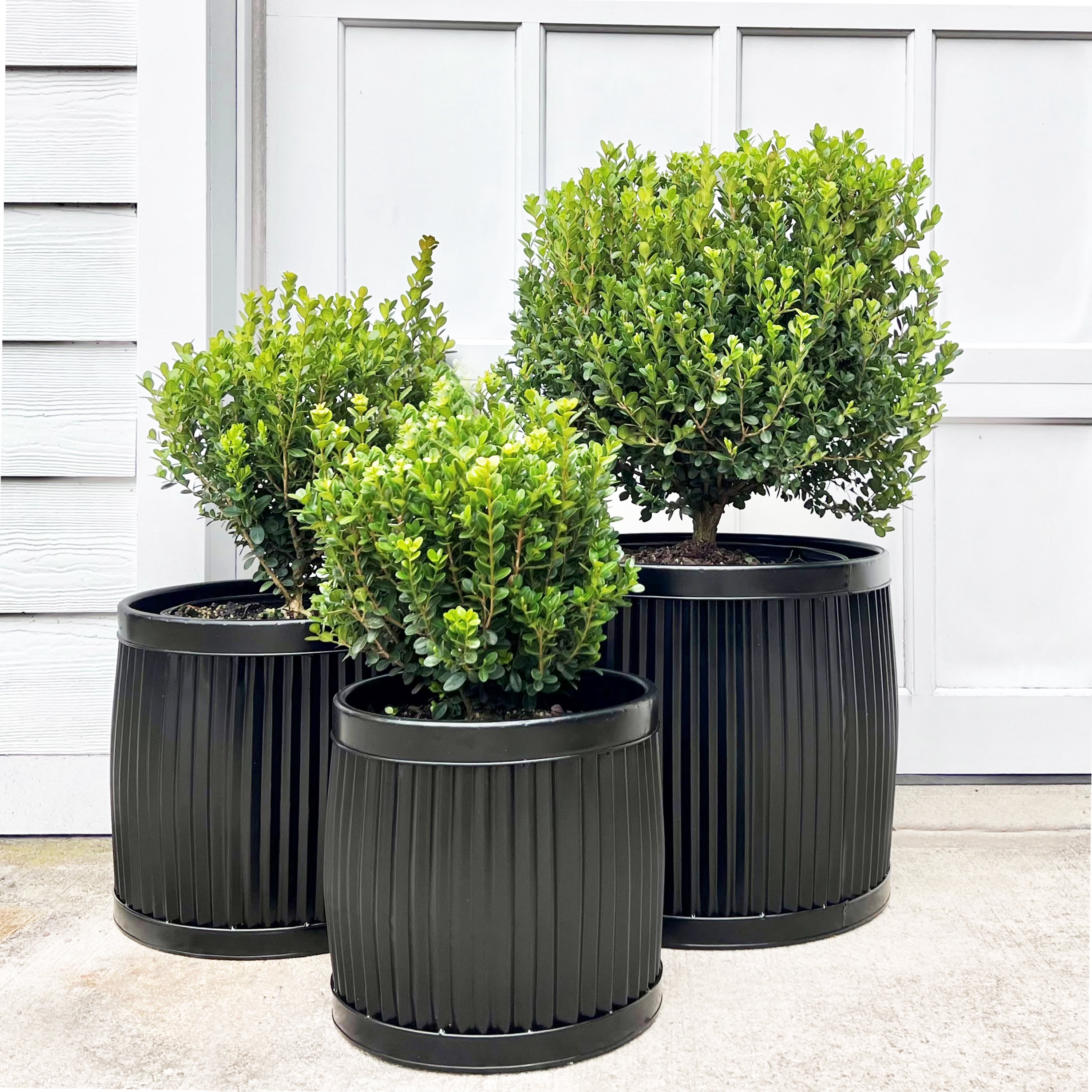 WHW Whole House Worlds Large Capacity French Country Style Belly Bucket Planters, Round, Set of 3, Galvanized Metal, Black, Corrugated Cache Pots, Rustic