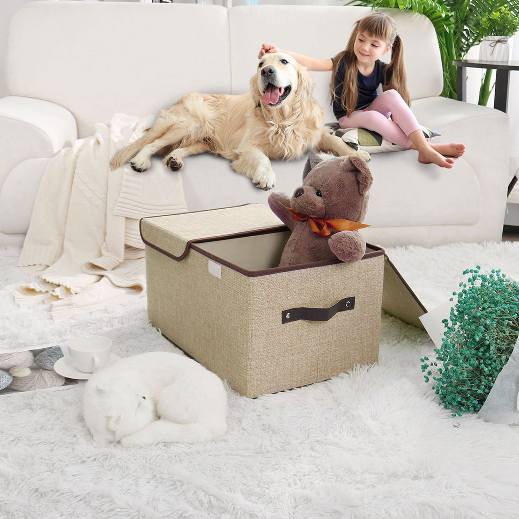 dog toy box walmart