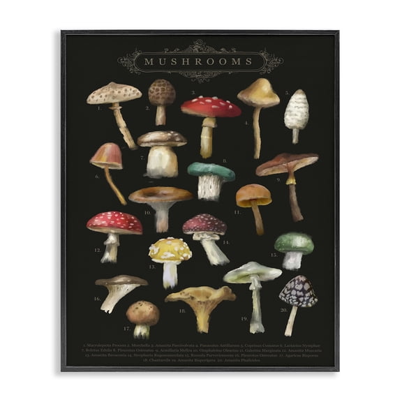 Stupell Industries Art Deco Dark Informative Mushroom Chart Black Framed Giclee Art, 16 x 20, by Amylee Weeks