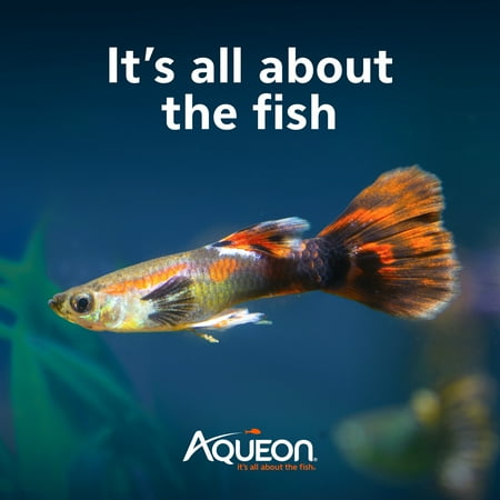 Aqueon SmartClean Power Filter with EcoRenew Filter Cartridge 20-30 Gallon