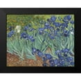 thumbnail image 2 of Van Gogh, Vincent 14x12 Black Modern Framed Museum Art Print Titled - Irises, 1889, 2 of 5