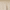 Tan, variant on Better Homes & Gardens Tan Embroidered Velvet Quilt, King
