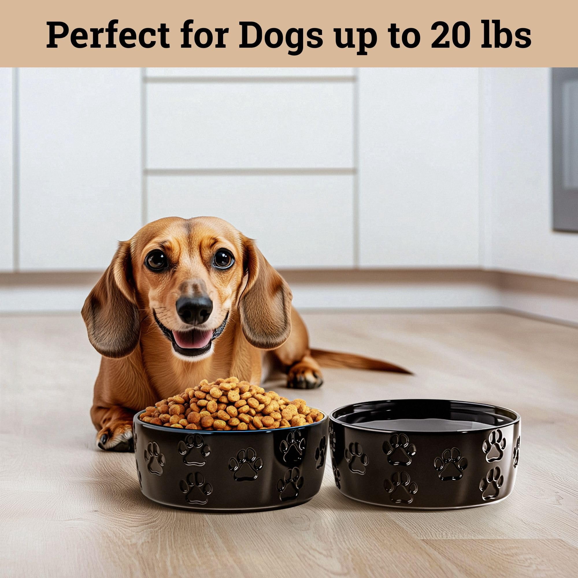 Ceramic Dog Bowl Set of 2 with Anti-Skid Base 5 Inch Wide 2 Cup Food and Water Bowls for Small Pets Non-Slip Rubber Bottom