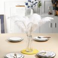 thumbnail image 2 of Kit de plumas de avestruz Ballinger 10 piezas, 71 cm, grandes, blancas, 2 of 7