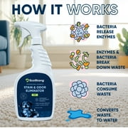 Eco Strong Enzymatic Pet Stain & Odor Remover for Cats & Dogs, 32 oz Sprayer Bottle