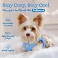 thumbnail image 2 of Chaleco Dog Harness Rabbitgoo, pequeño, de malla suave, para cachorros, azul, 2 of 6