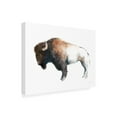 thumbnail image 2 of Avery Tillmon 'Colorful Bison Dark Brown' Canvas Art, 2 of 3