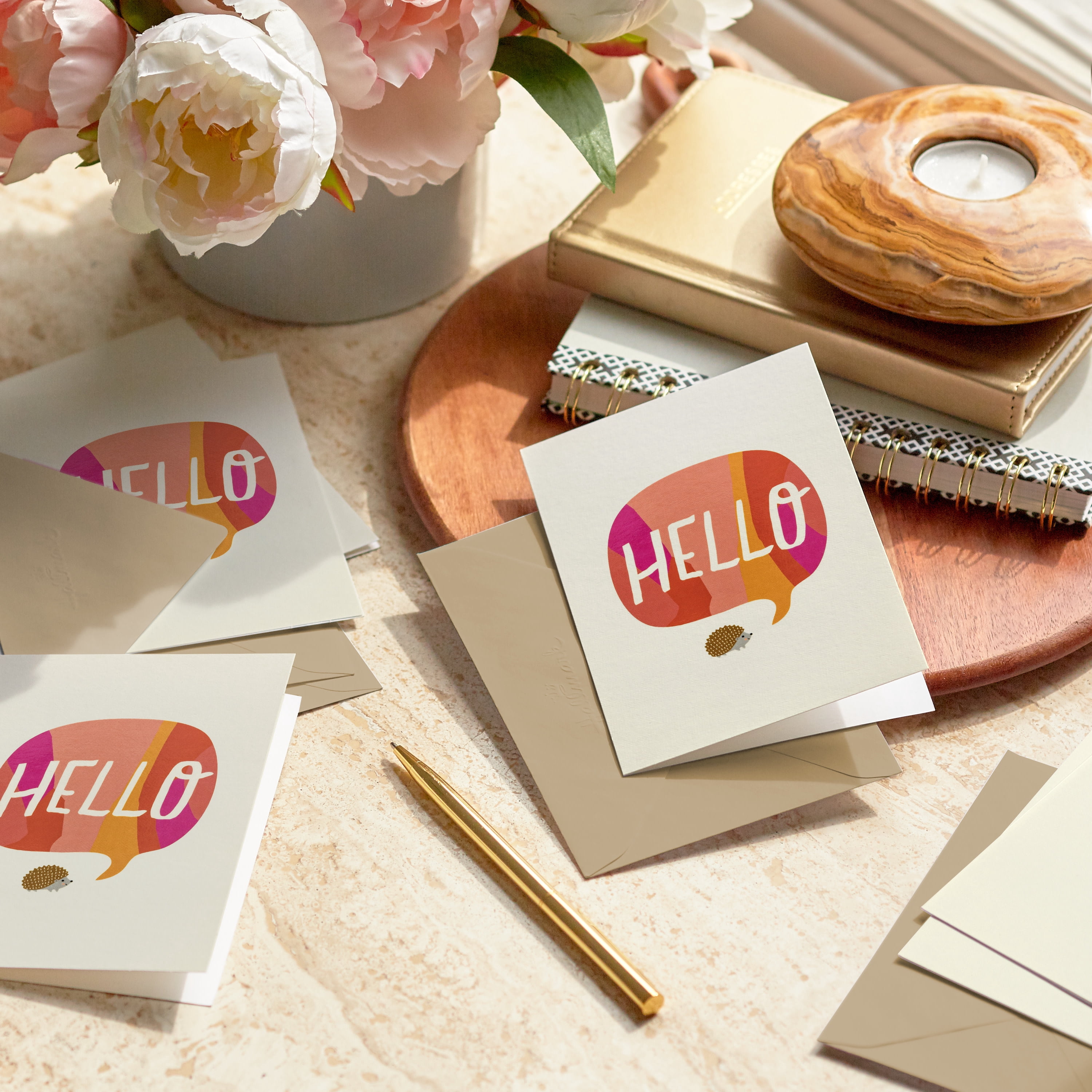 Hallmark Blank Thinking of You Notes (Hedgehog Hello), 10 Count