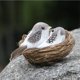thumbnail image 3 of Adornos para césped con pájaros y nidos y huevos artificiales con plumas, 1 unidad, 3 of 4