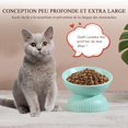 thumbnail image 3 of Kunmingshisd Cuenco elevado de cerámica para gatos - Cuenco elevado para gatos inclinado contra los vómitos - Cuenco para gatos grandes - Cuencos de porcelana para gatos - Cuenco para comida para gato, 3 of 5
