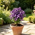 thumbnail image 4 of Doghiosgha 1 Pc 17.7 Inch Artificial Pansy Flower Stake Faux Outdoor Plants Pick for Garden Patio Yard Pathway Decor, Purple, 4 of 6